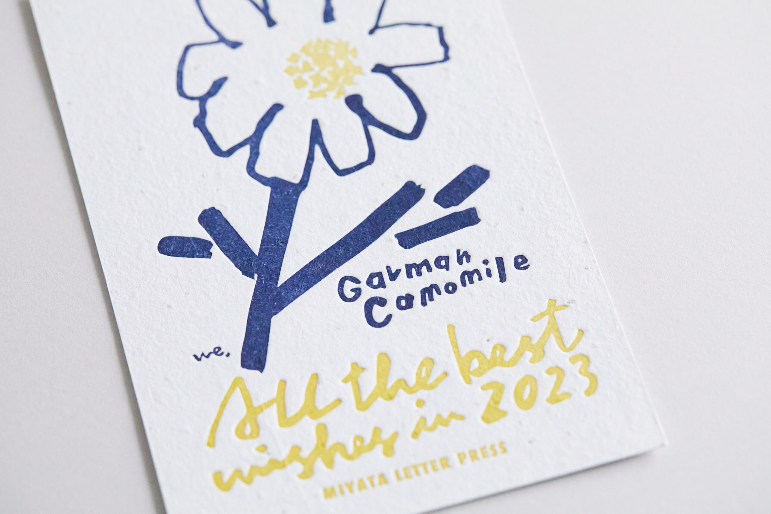 シードペーパー®️の印刷